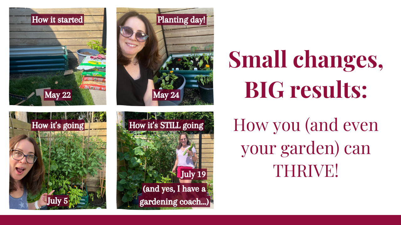 Small changes, BIG results: How you (and even your garden) can THRIVE!